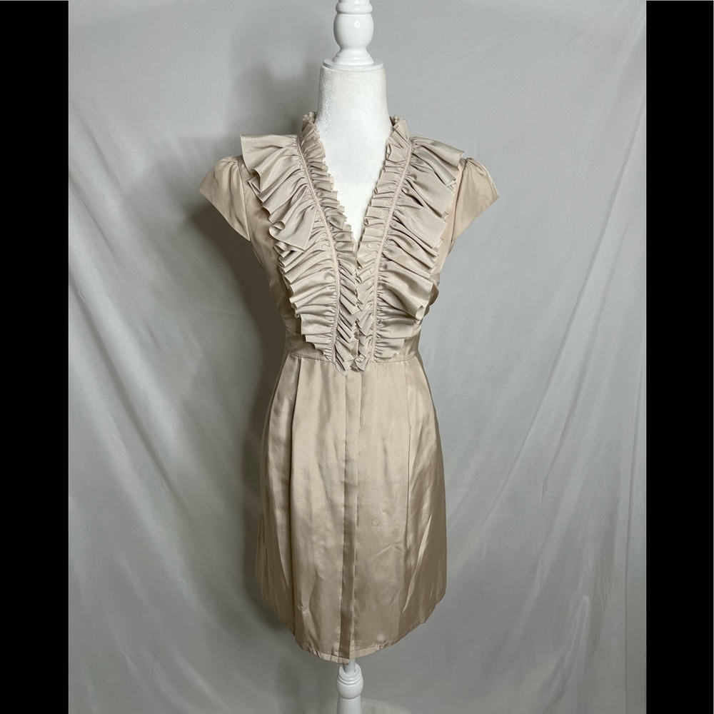 Ted Baker Ditio silk dress size 2 equal to a 6 US.